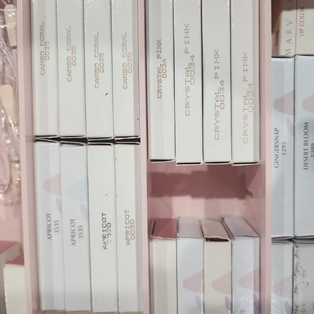 Mary KAY Makeup Organizer with Multiple Compartments & LOTS of New Product